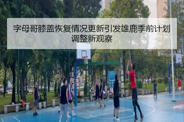 字母哥膝盖恢复情况更新引发雄鹿季前计划调整新观察